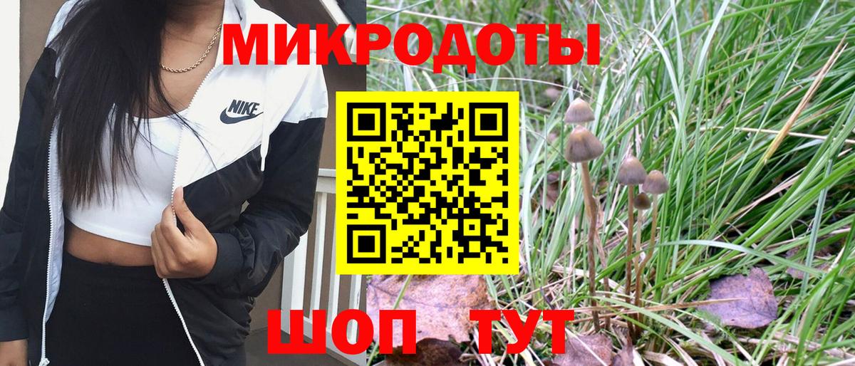 Галлюциногенные грибы мицелий Белореченск