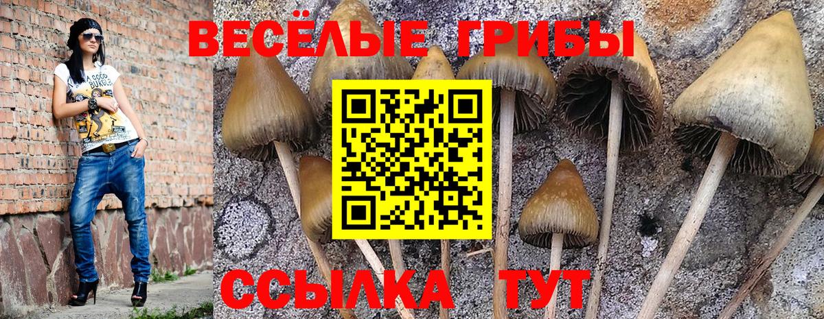 Псилоцибиновые грибы Psilocybine cubensis  Вход с VPN  Галлюциногенные грибы Psilocybe  Белореченск 