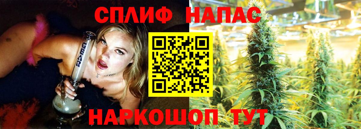 Конопля AK-47  Марихуана семена  Бошки Шишки MAZAR  Белореченск  Канабис AK-47  Вход с VPN 